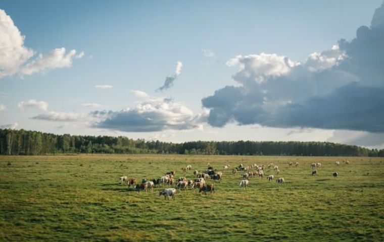 Южно-Сахалинск
