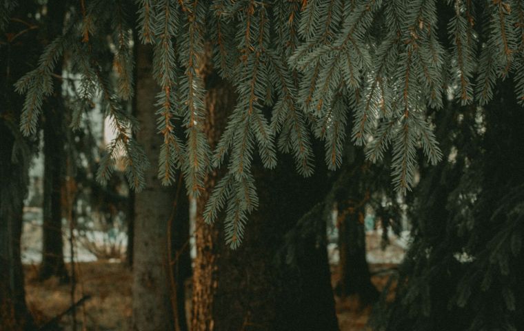 Бийск