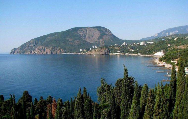 Партенит