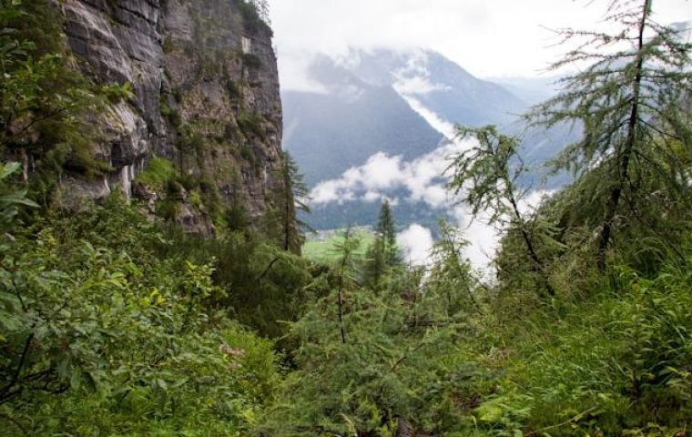 Цандрипш