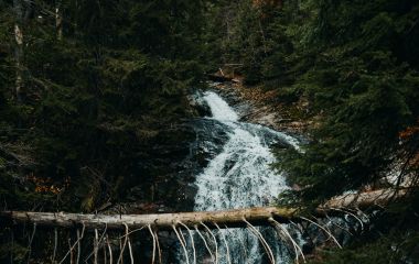 Самшитовые водопады