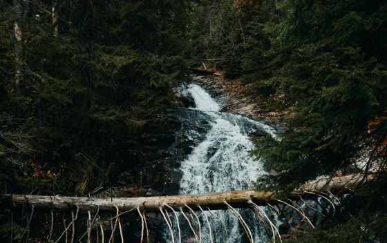Самшитовые водопады | Водопады в Дагомысе