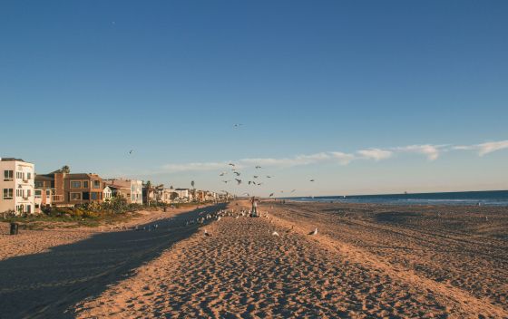 Пляж гостевого дома «Морской конек» | Пляжи в Джемете