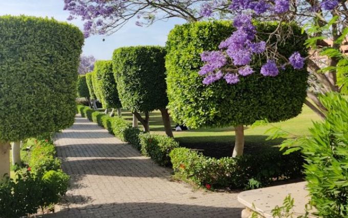 Ливадийский парк
