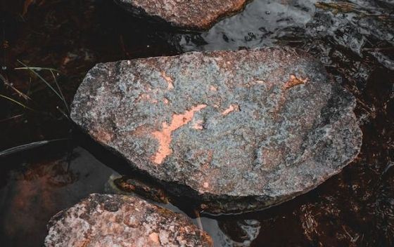 Музей «Морские курьезы» | Музеи в Штормовом