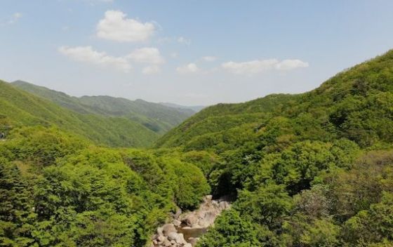 Каменные грибы долины Сотера | Разное в Алуште