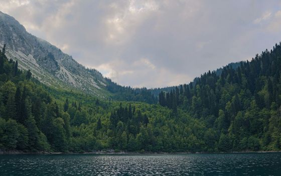 Рицинский реликтовый национальный парк | Парки в Гагре