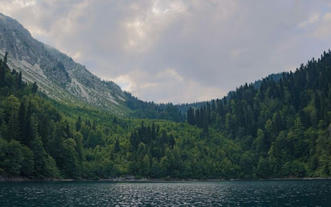 Рицинский реликтовый национальный парк