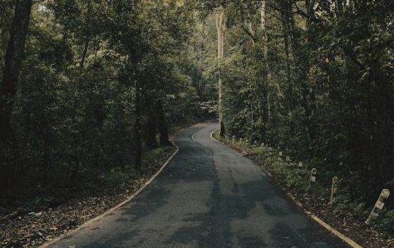 Парк имени Фрунзе | Парки в Евпатории
