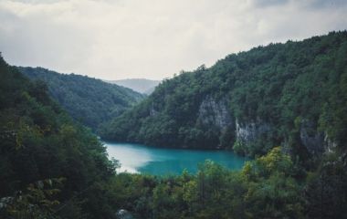Пицундо-Мюссерский заповедник
