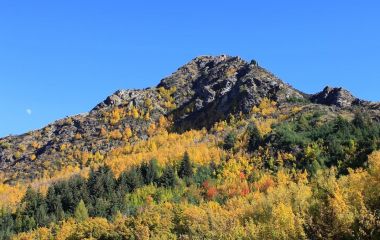 Каменные верблюды