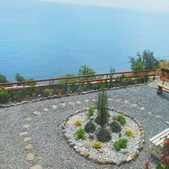 «Афалина»