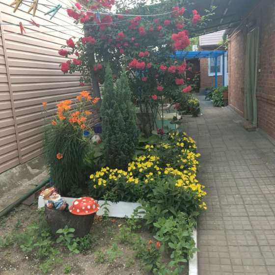 Домик у моря