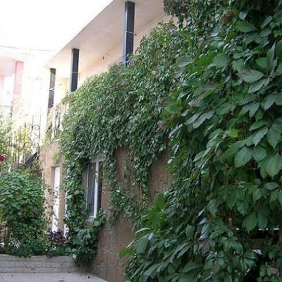 «Stone House»
