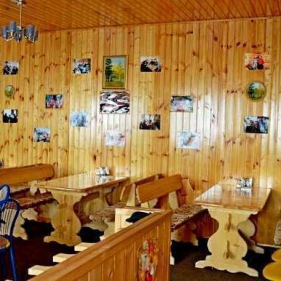 «Золотой Мустанг»