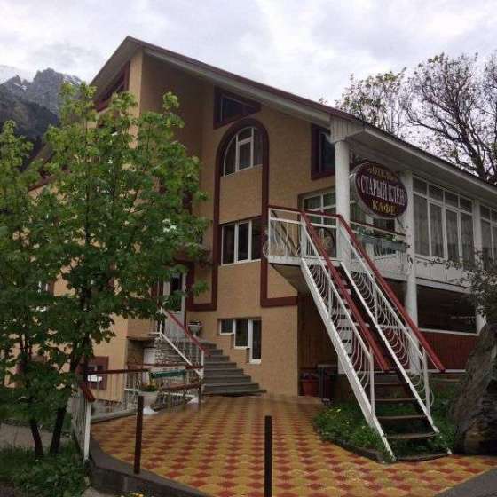 «Старый клён»