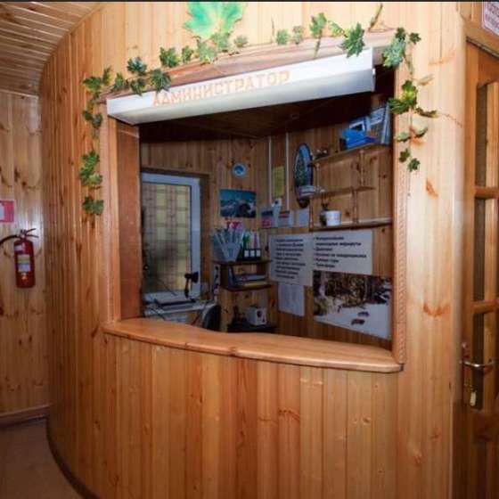 «Старый клён»