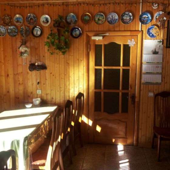 «Старый клён»