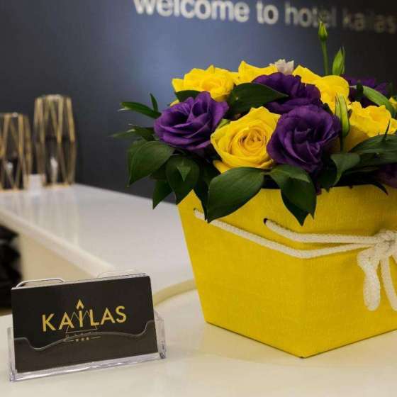 Отель «Kailas»