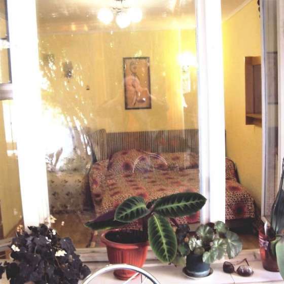 «Домик в цветах»