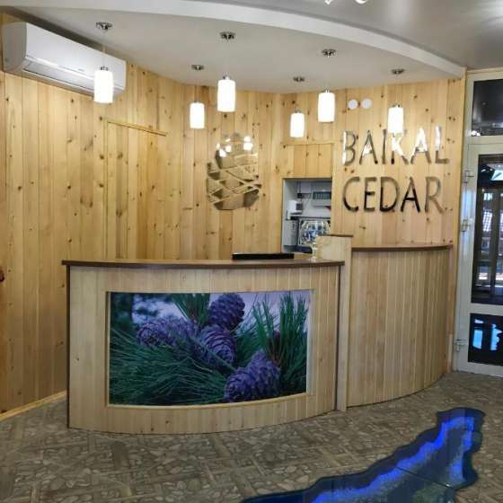 BAIKAL CEDAR