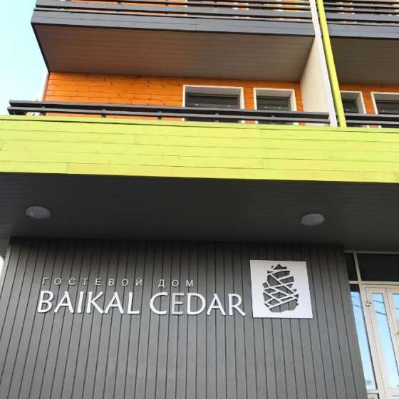 BAIKAL CEDAR