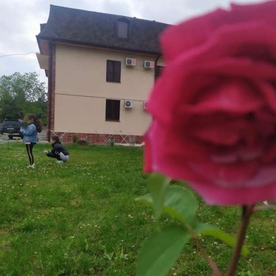 Гостевой дом «Азалия»