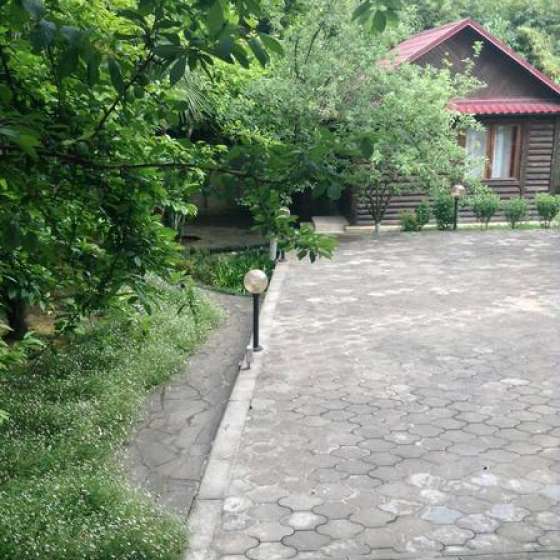 «Бамбуковый рай»
