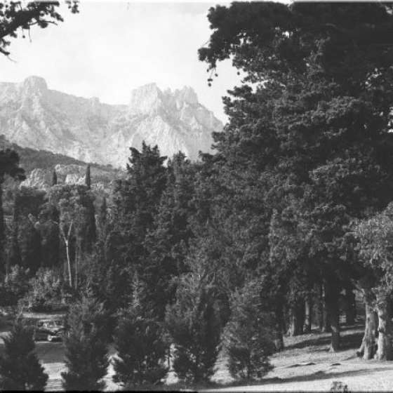 Квартира посуточно в Алупке