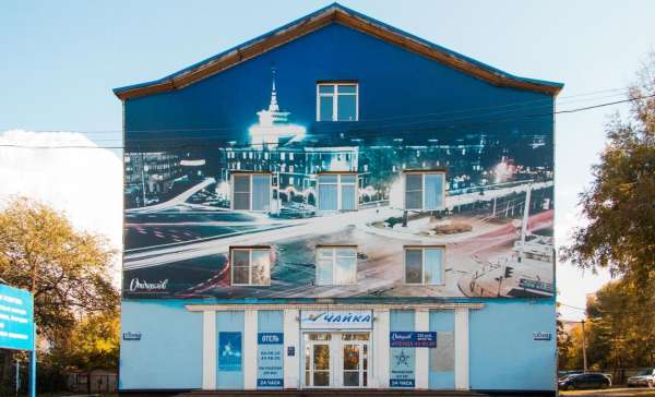 Барнаул, чайка