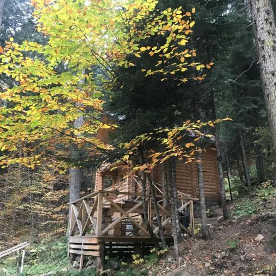 Домики в лесу на Аланской