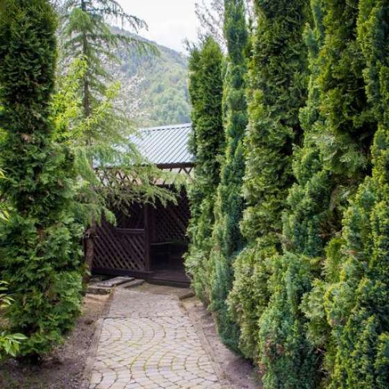 Green House