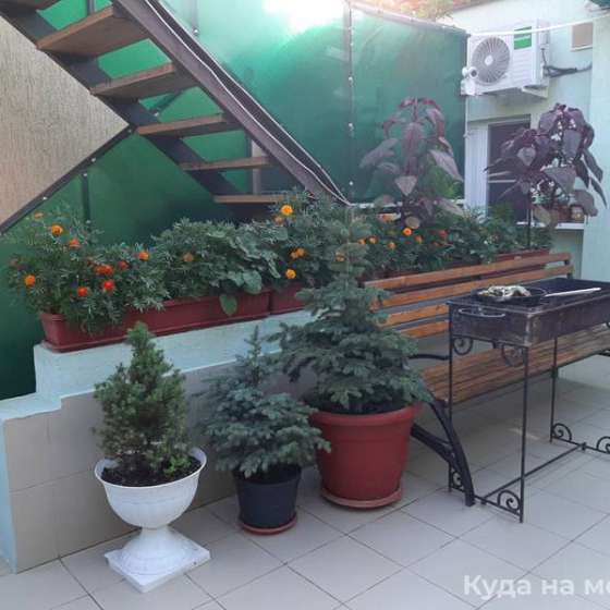 «Оазис»