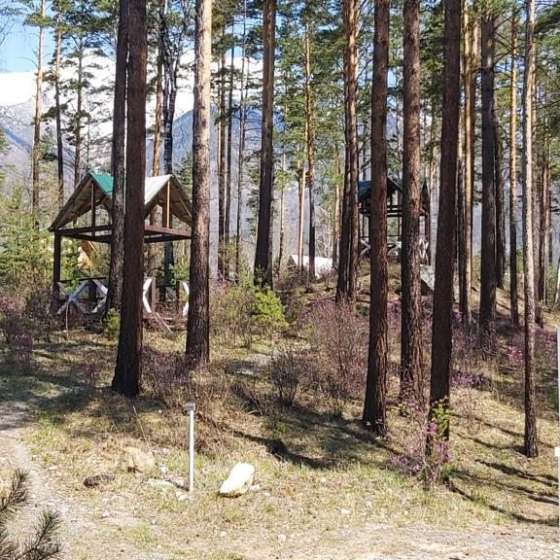 Корона Аршана