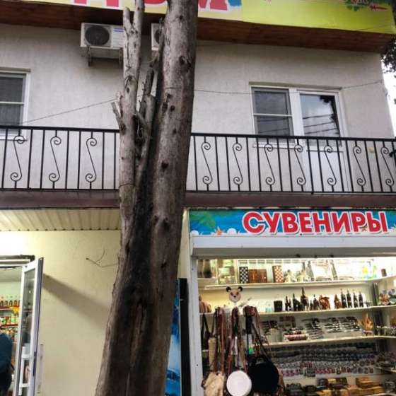 Гостевой дом Званба 10