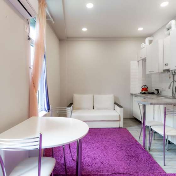 Violet Style apartment