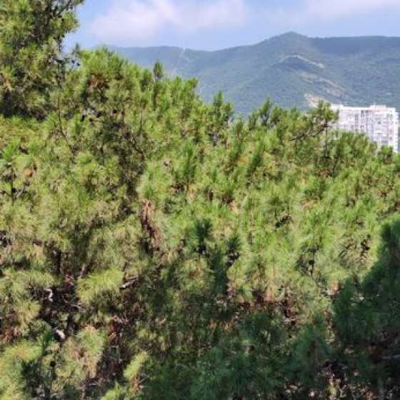 Апартаменты в жк бизнес класса Изумрудный город, Мира 44лит5