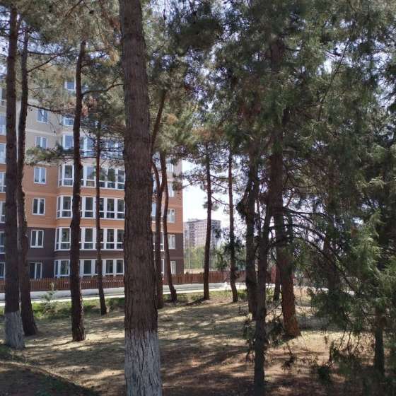 Апартаменты с видом на море, Пионерский проспект, 274Б