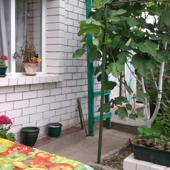 1-комнатная квартира, Ленина улица, 32