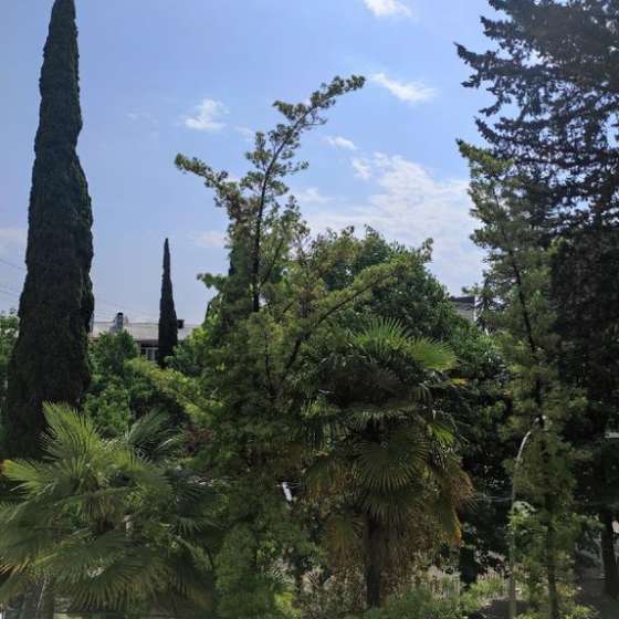Квартира Абхазия, Джонуа улица, 4