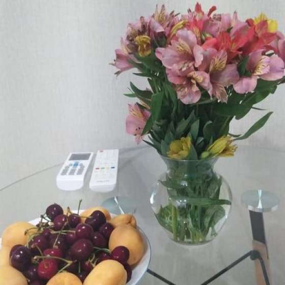 Студия