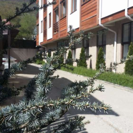 Студия