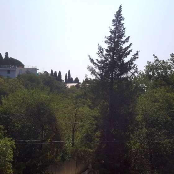 Студия