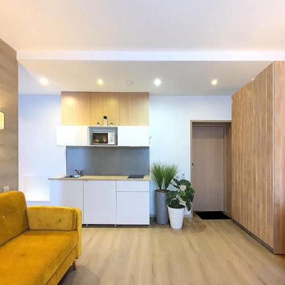 ARS apartments Апартаменты на Арсенальной