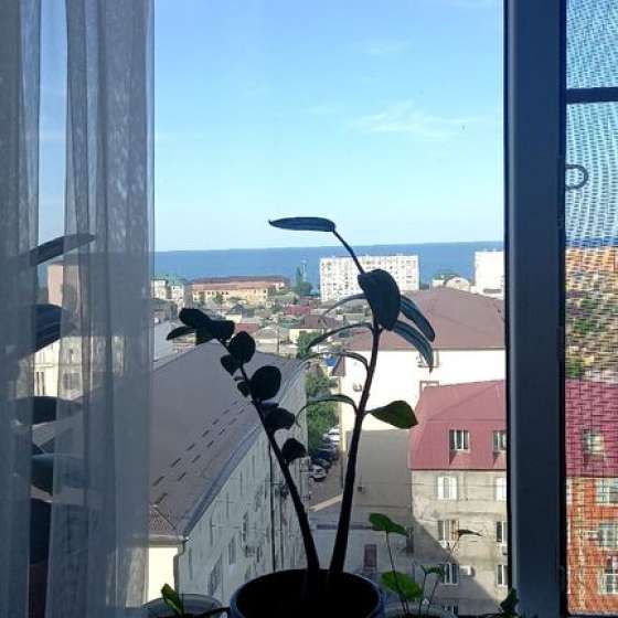 4-комнатная квартира