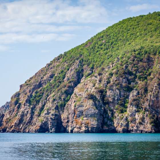 «Ласточка»
