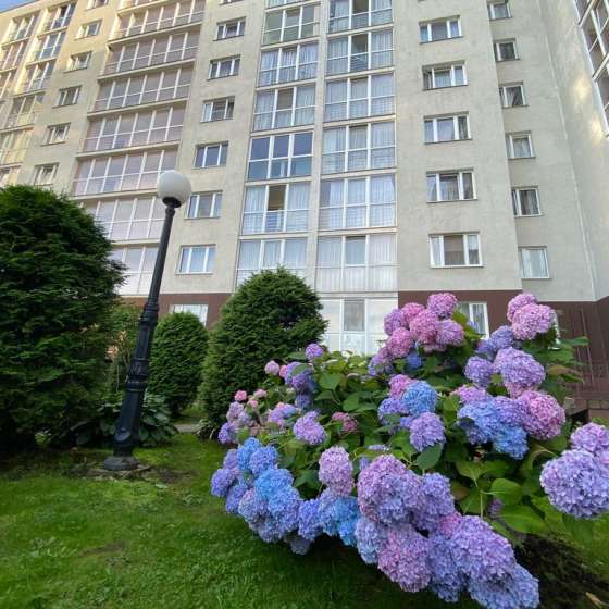 1-комнатная квартира