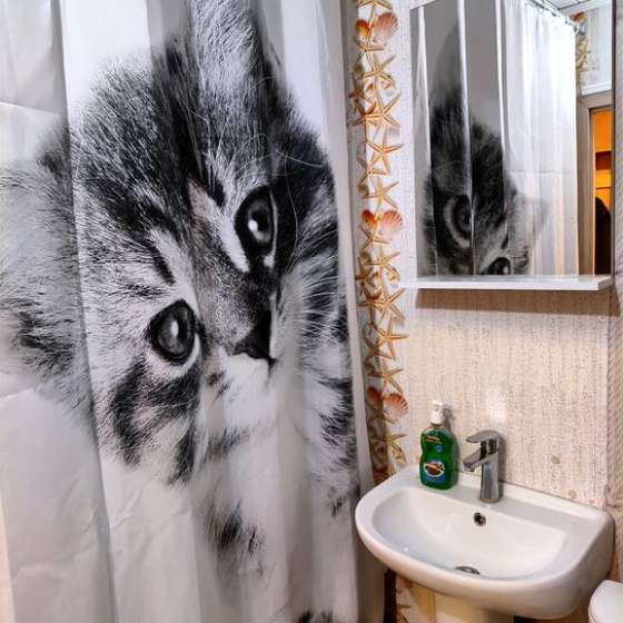 Студия
