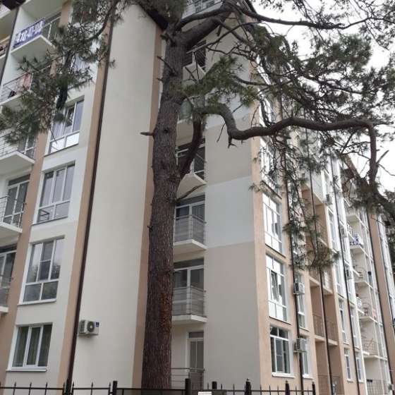 Студия
