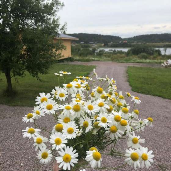 Частный дом